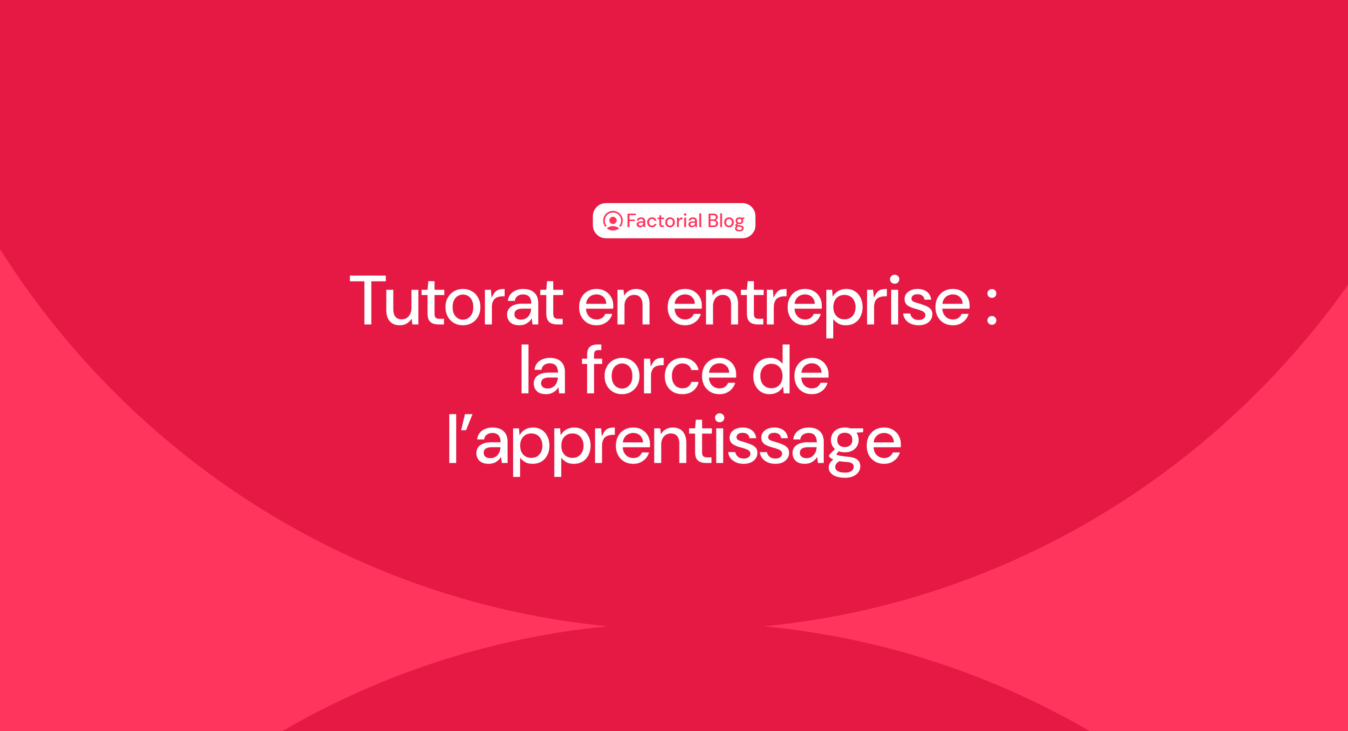 Tutorat en entreprise : la force de l’apprentissage